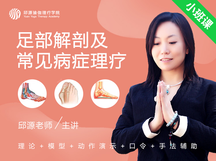 足部解剖与常见病症理疗精品小班课