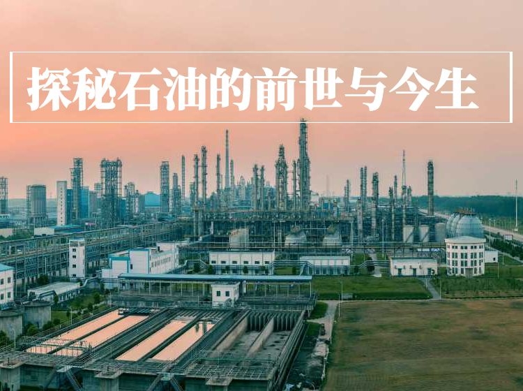 探秘石油的前世与今生