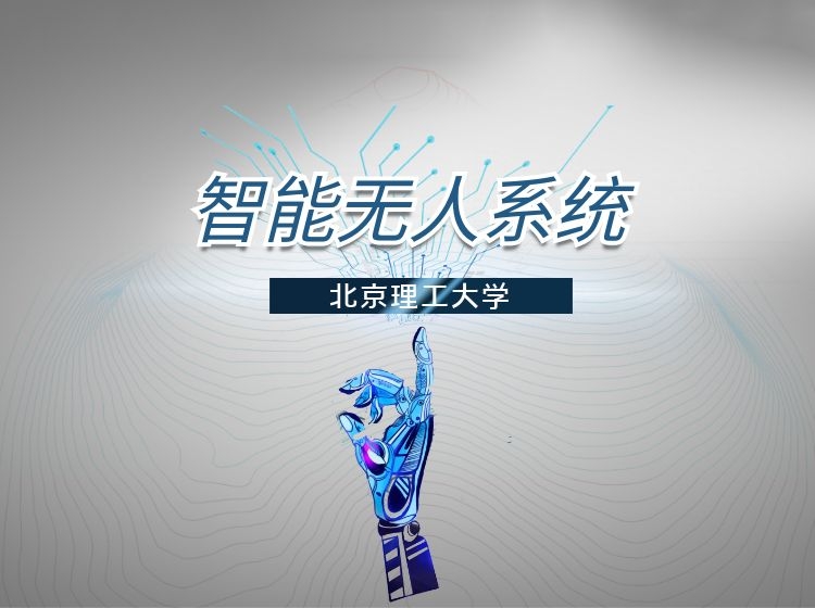 智能无人系统