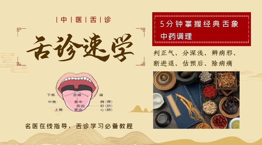 舌诊速学--5分钟掌握经典舌象+中药调理