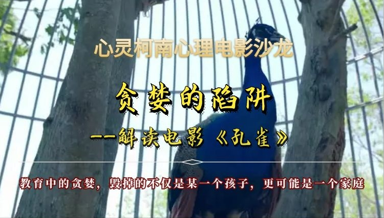 《你的孩子不是你的孩子》家庭教育心理电影解读（共10讲）