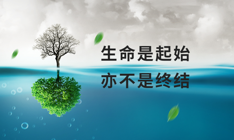 北京大学研究性学习（生命科学学科）+清北状元学习法