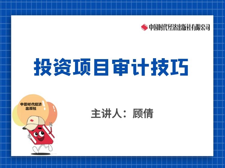《投资项目审计技巧》