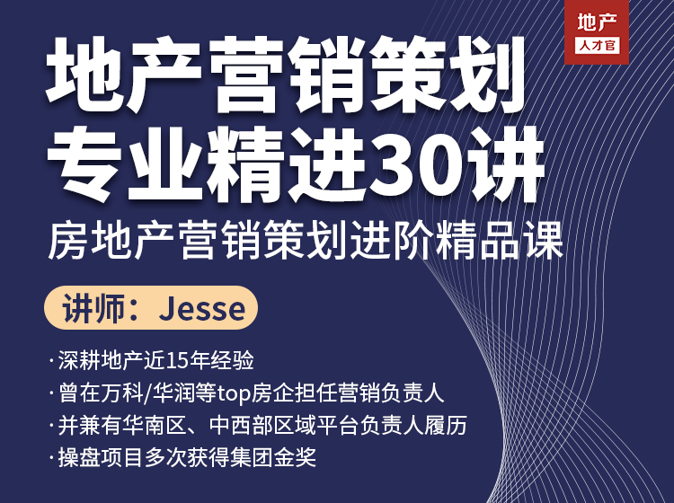 房地产策划必修：地产营销策划实践30讲