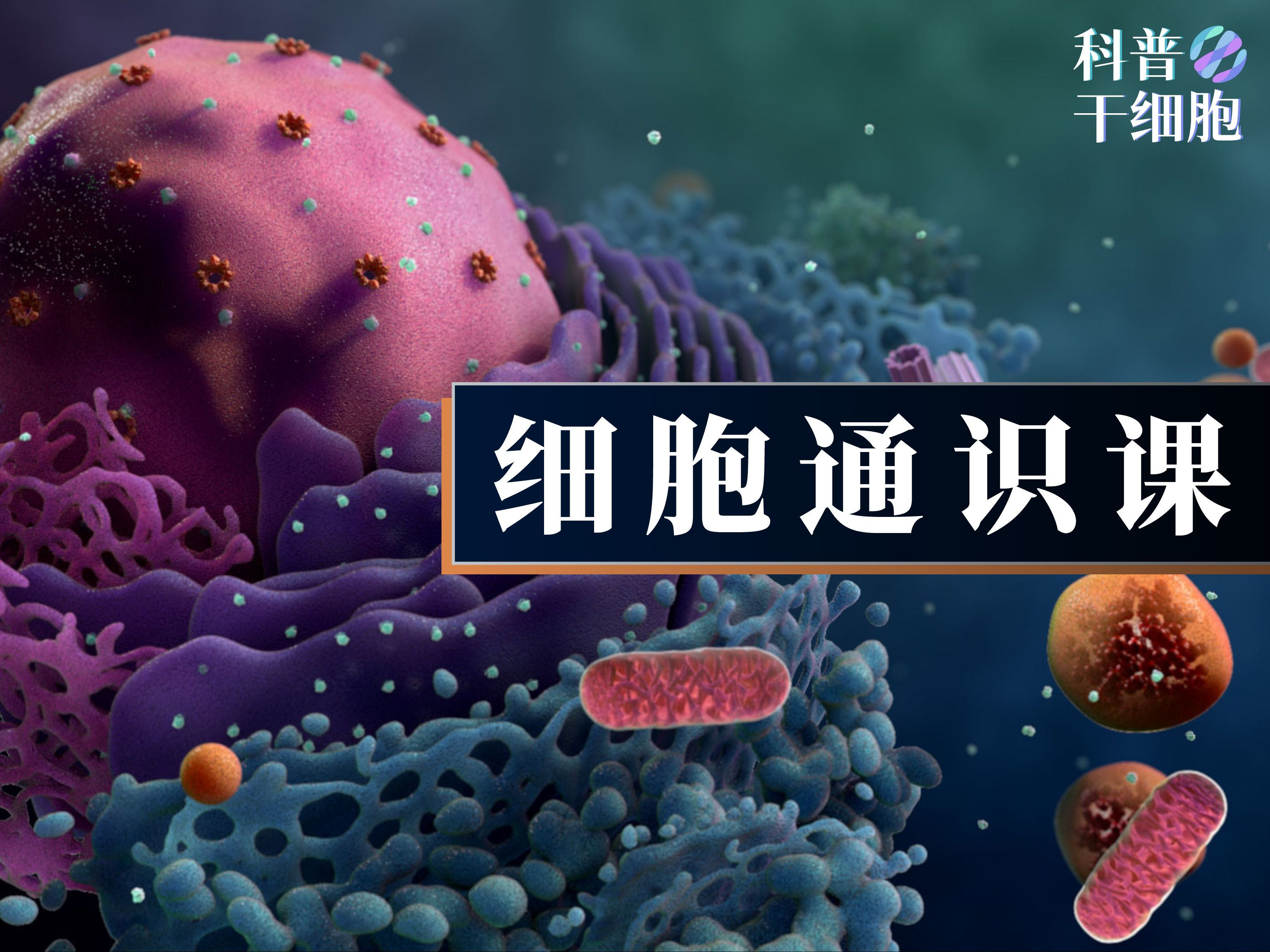 【科普干细胞】-细胞通识课（全年共52节）