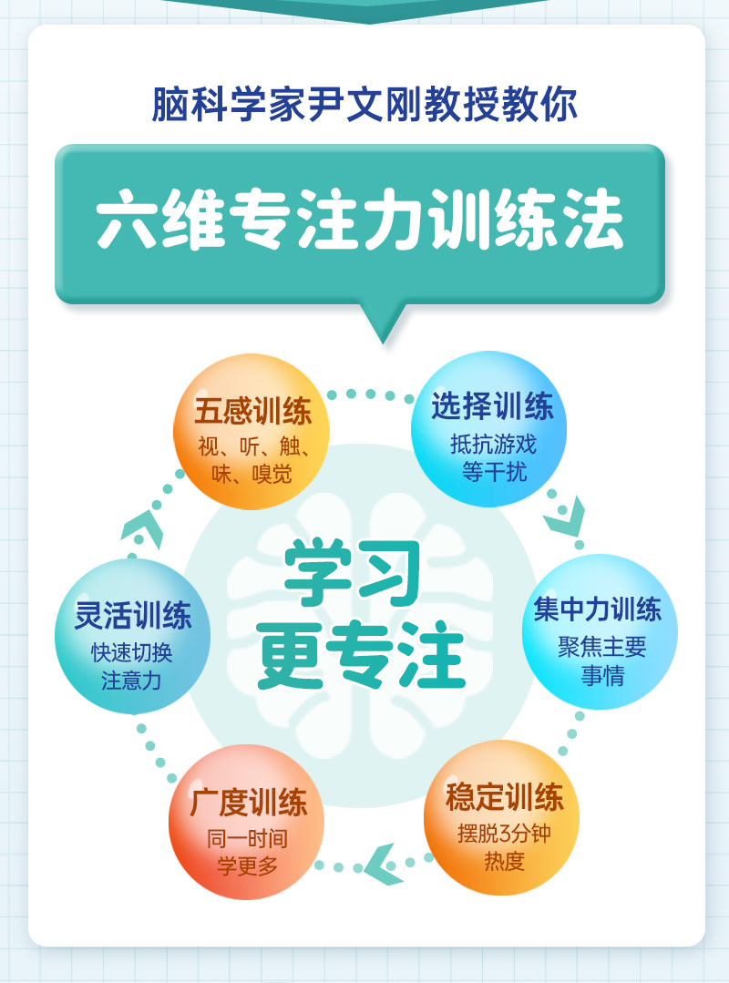 脑开发与专注力训练