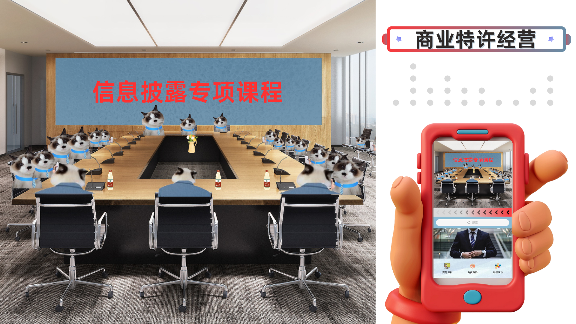 商业特许经营信息披露专项课程