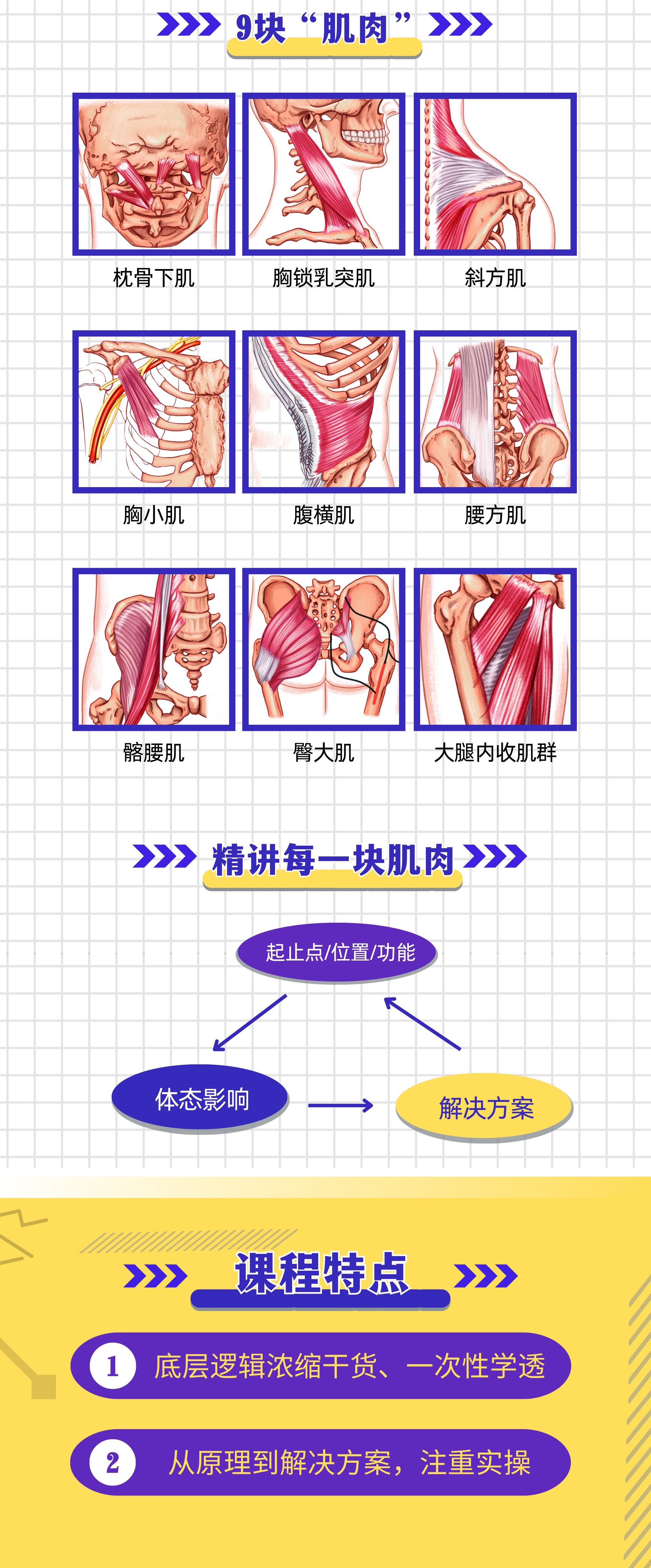 体态调整地图-线上课