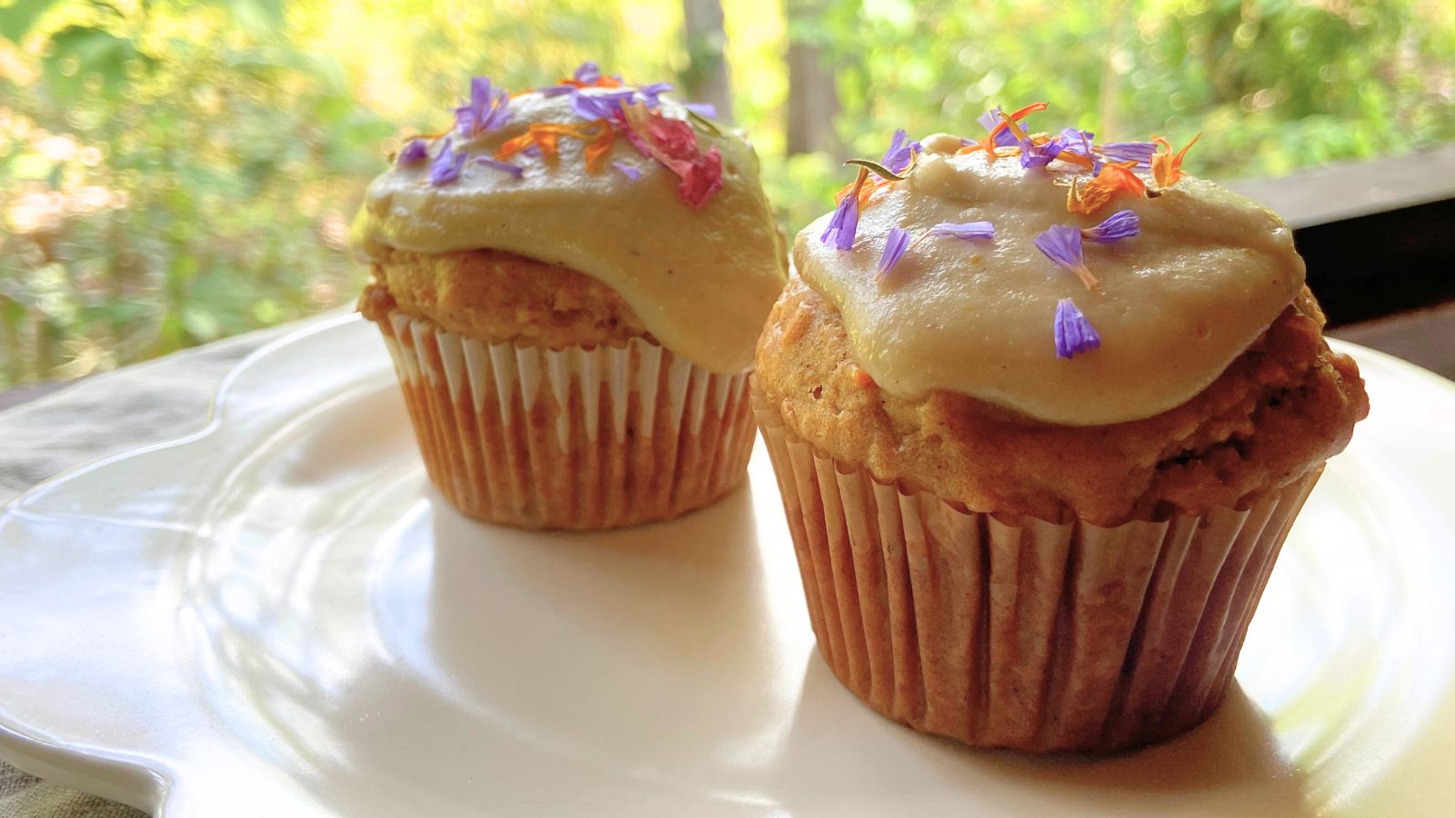 小鹅通封面 副本 (1600 × 900, 像素).jpg