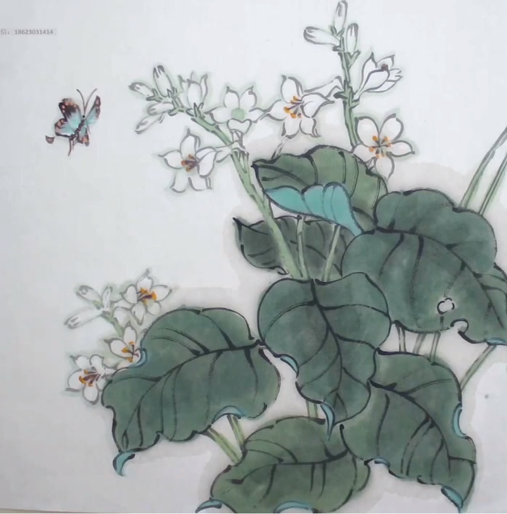 写意花鸟入门课程