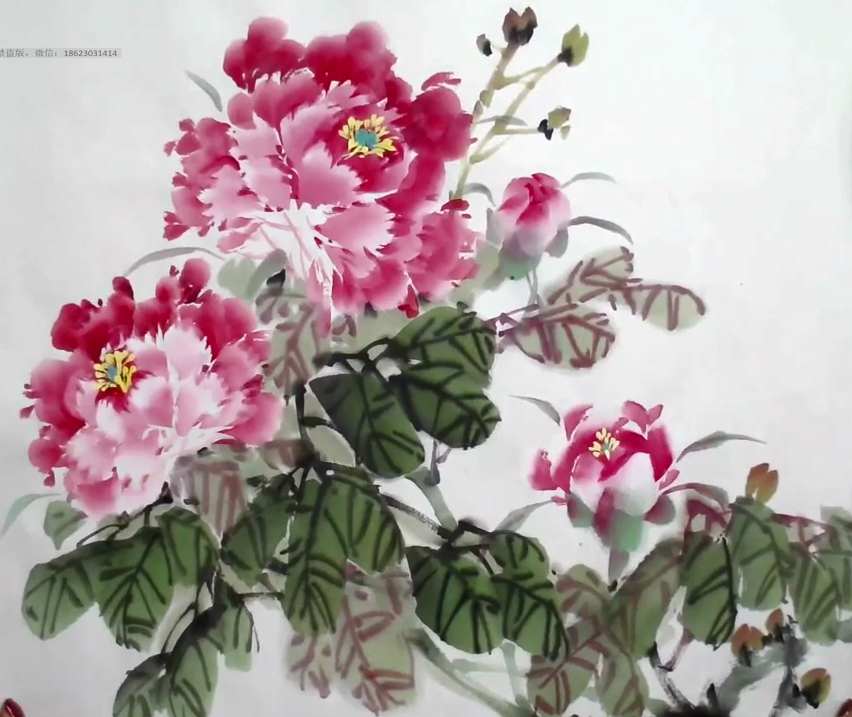 写意花鸟入门课程