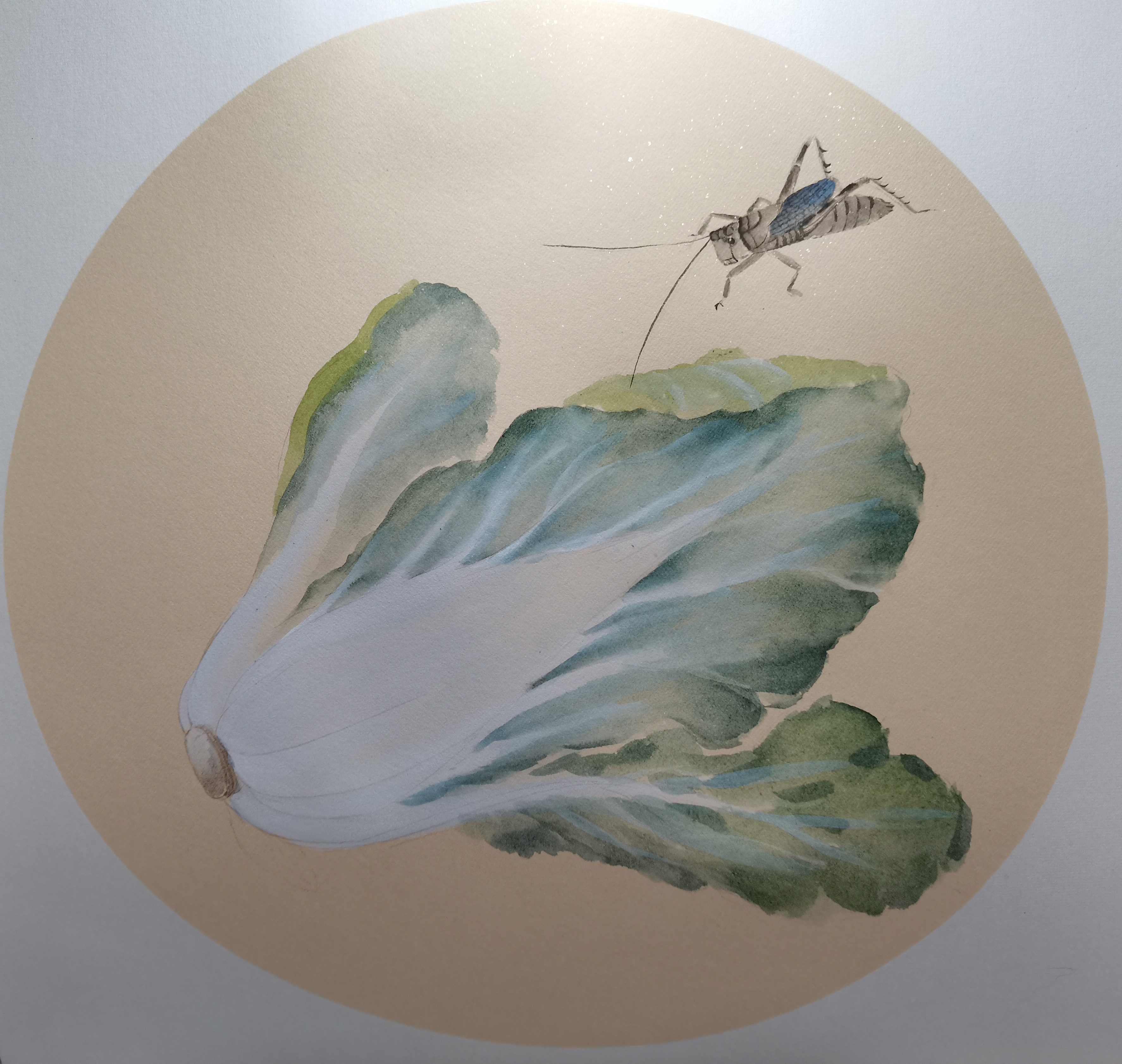 工笔没骨入门课程