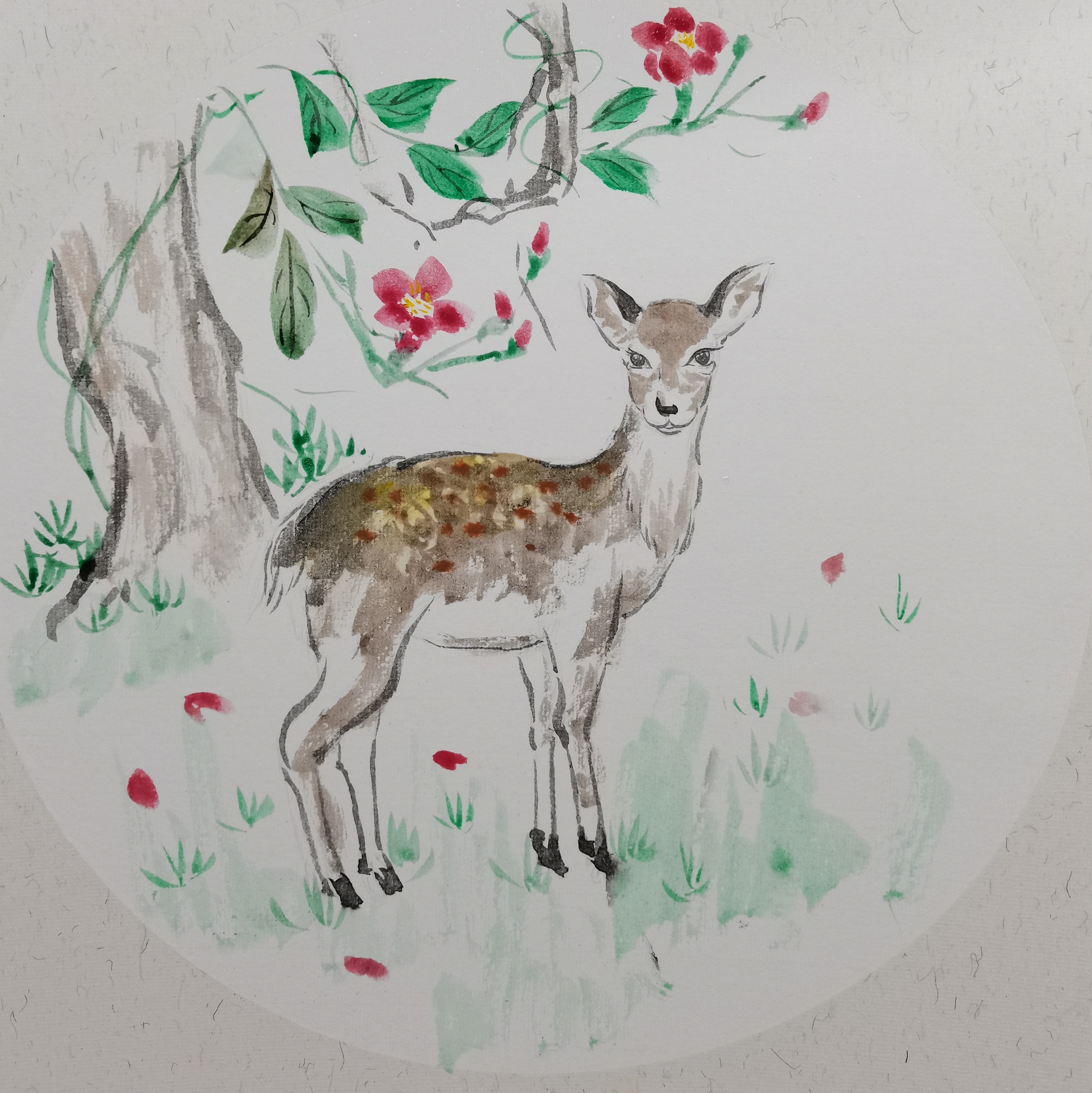 工笔没骨入门课程