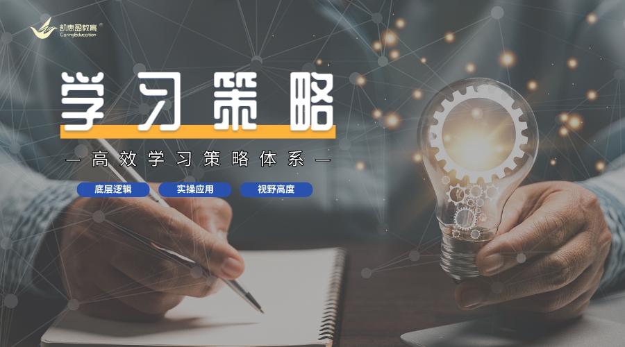 学习策略