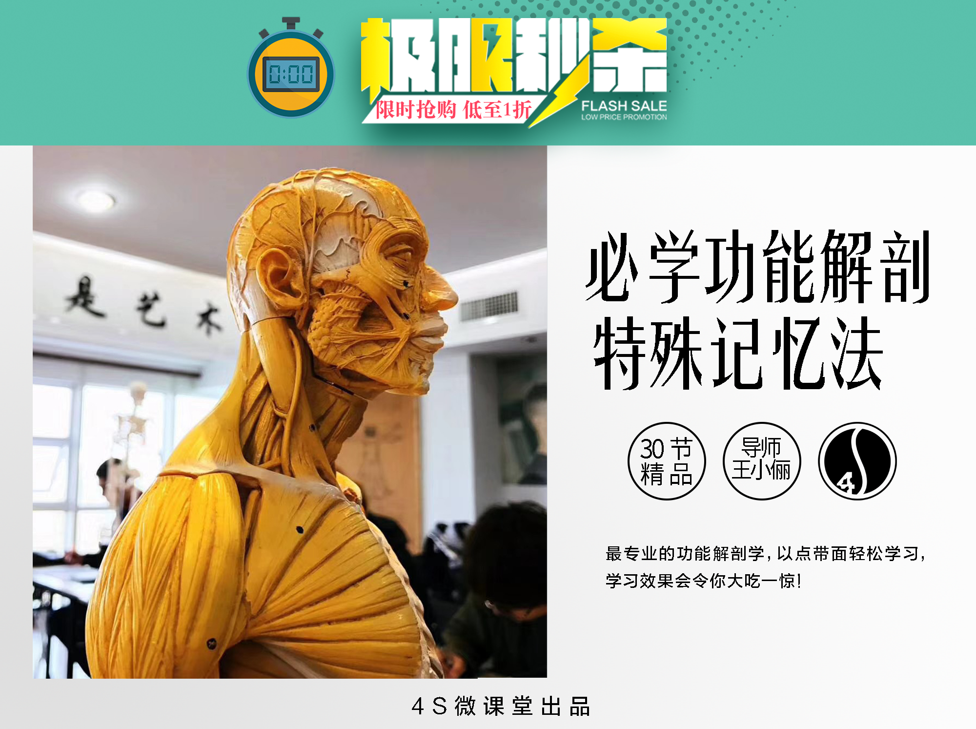 【4S康复系列】2020必学解剖系列｜4S功能解剖以面带点轻松学