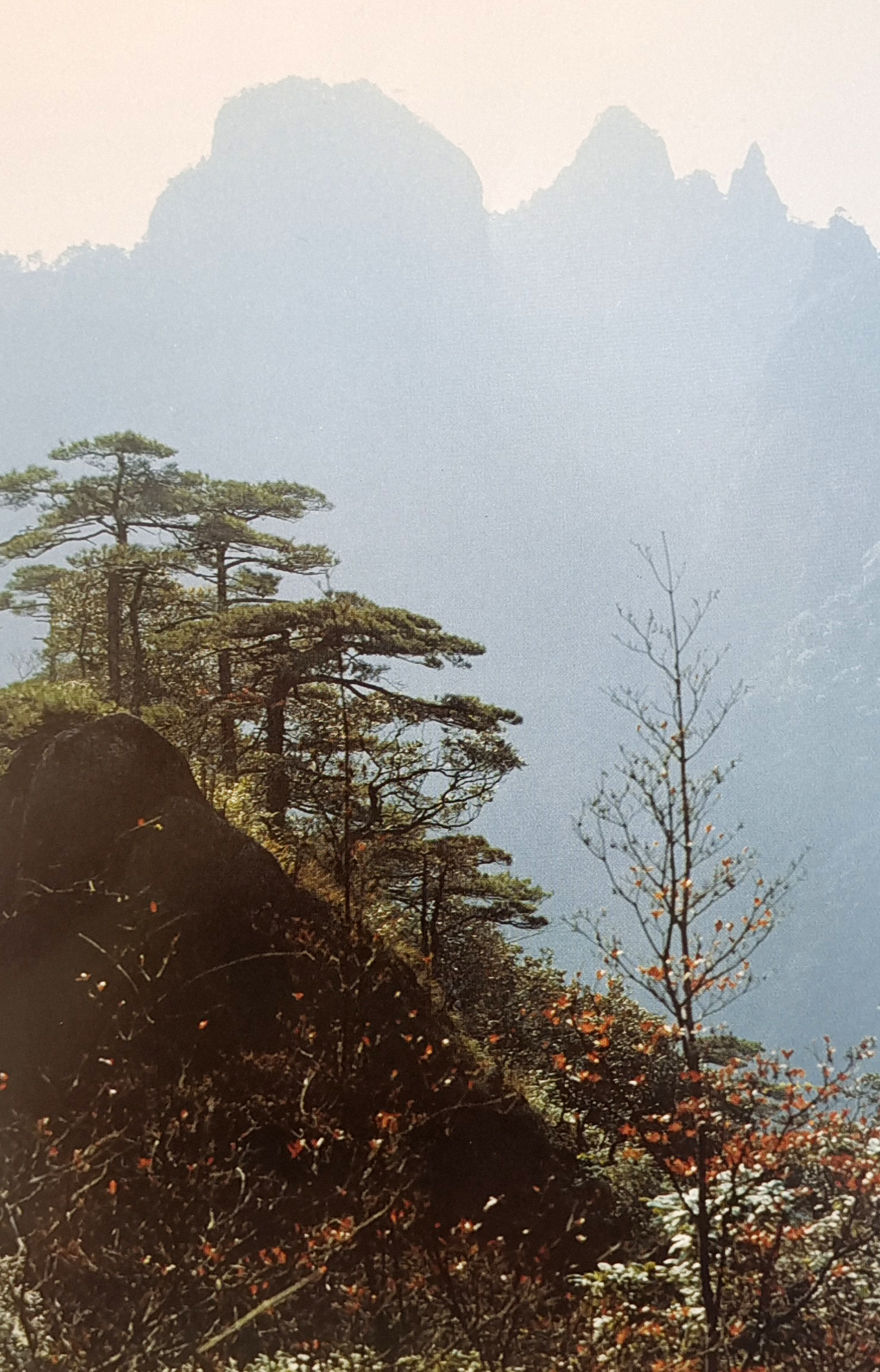 朱零山水画--写生临摹笔墨语言转换
