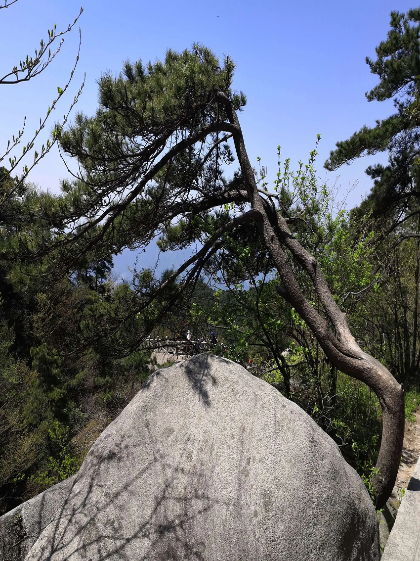 朱零山水画--写生临摹笔墨语言转换