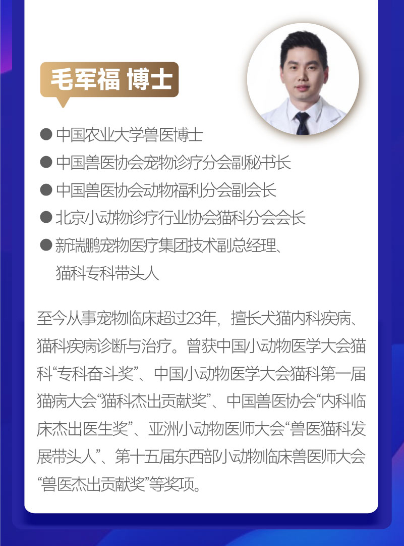 如何让猫少生病，宠主的18节必修课（视频专栏）