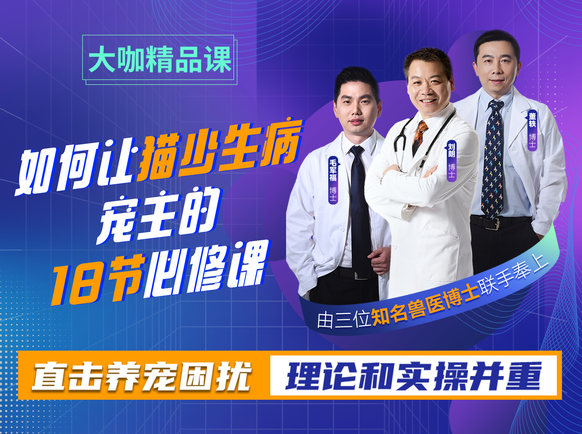 如何让猫少生病，宠主的18节必修课（视频专栏）