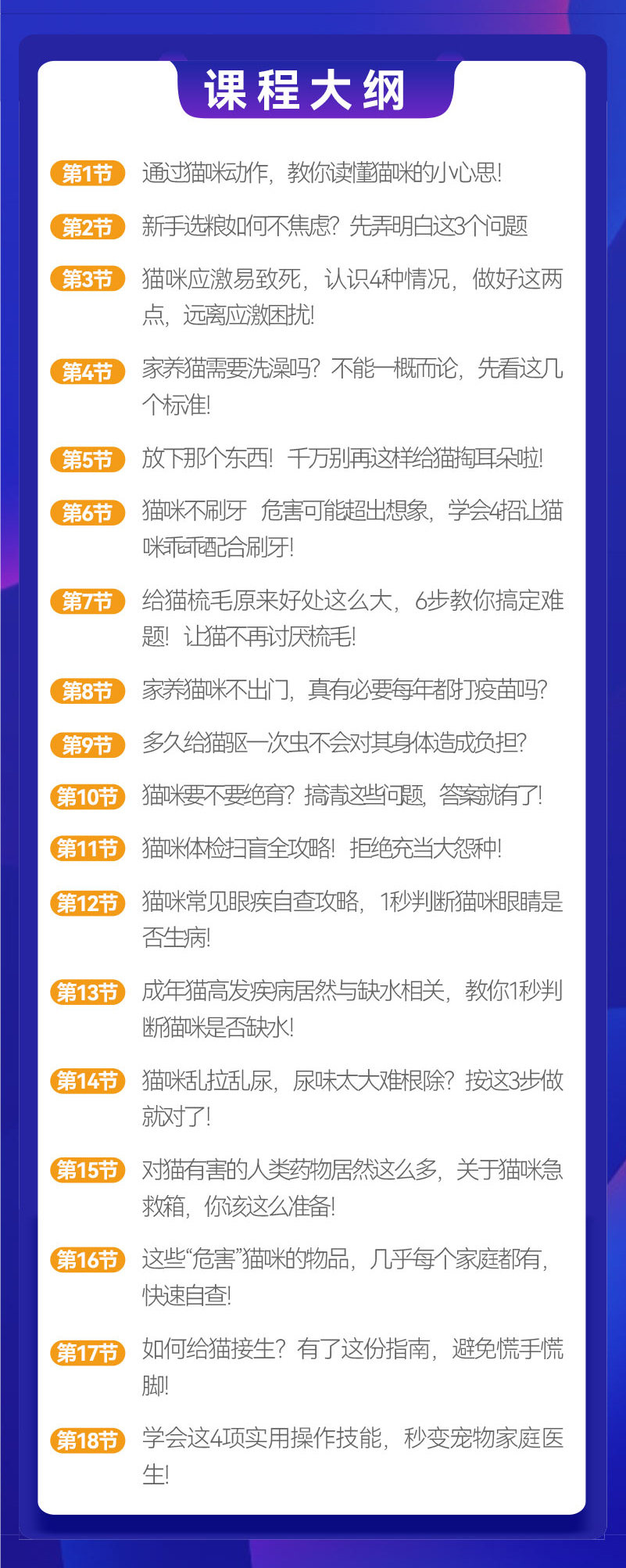如何让猫少生病，宠主的18节必修课（视频专栏）