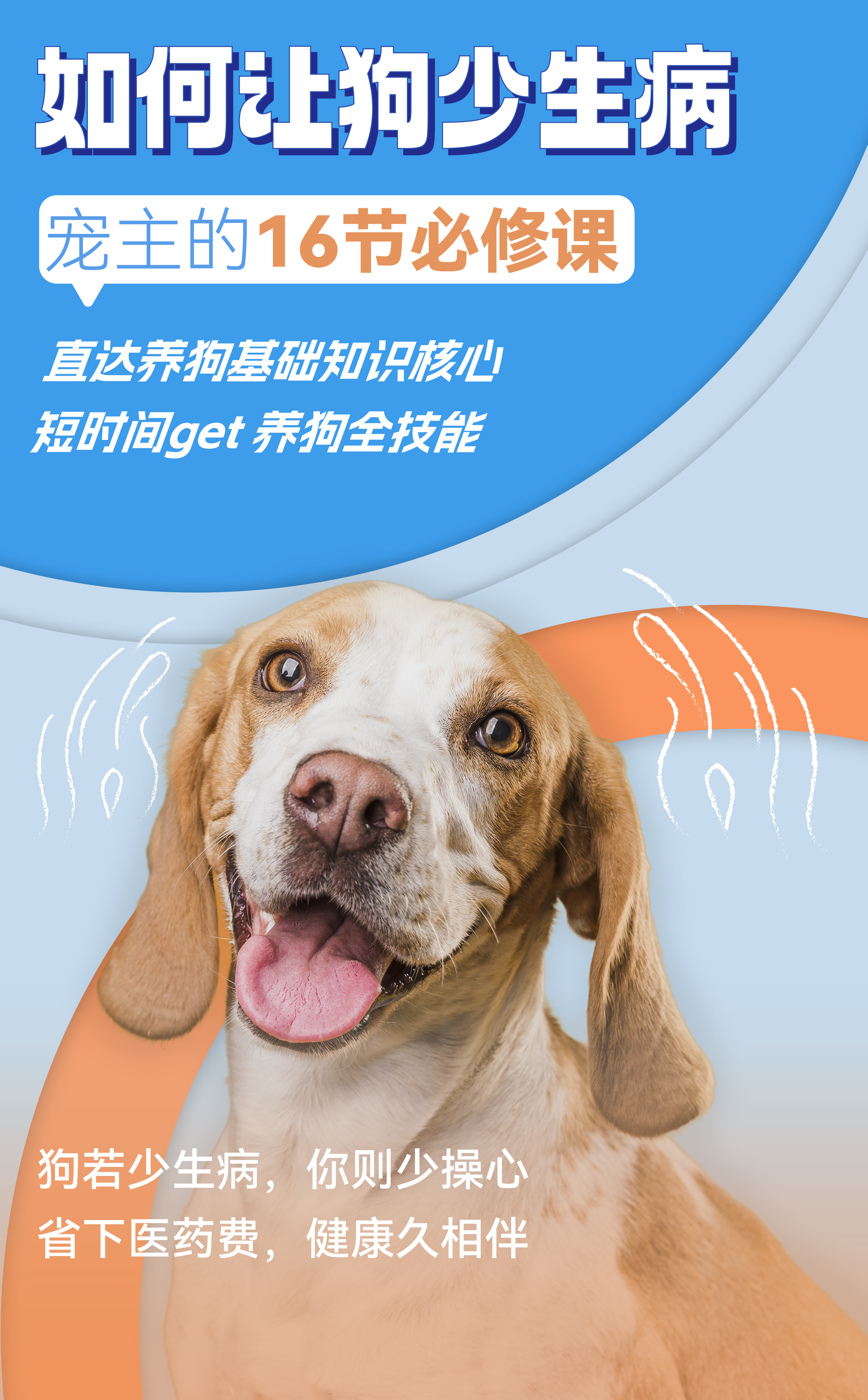 如何让狗少生病，宠主的16节必修课（音频+图文专栏）
