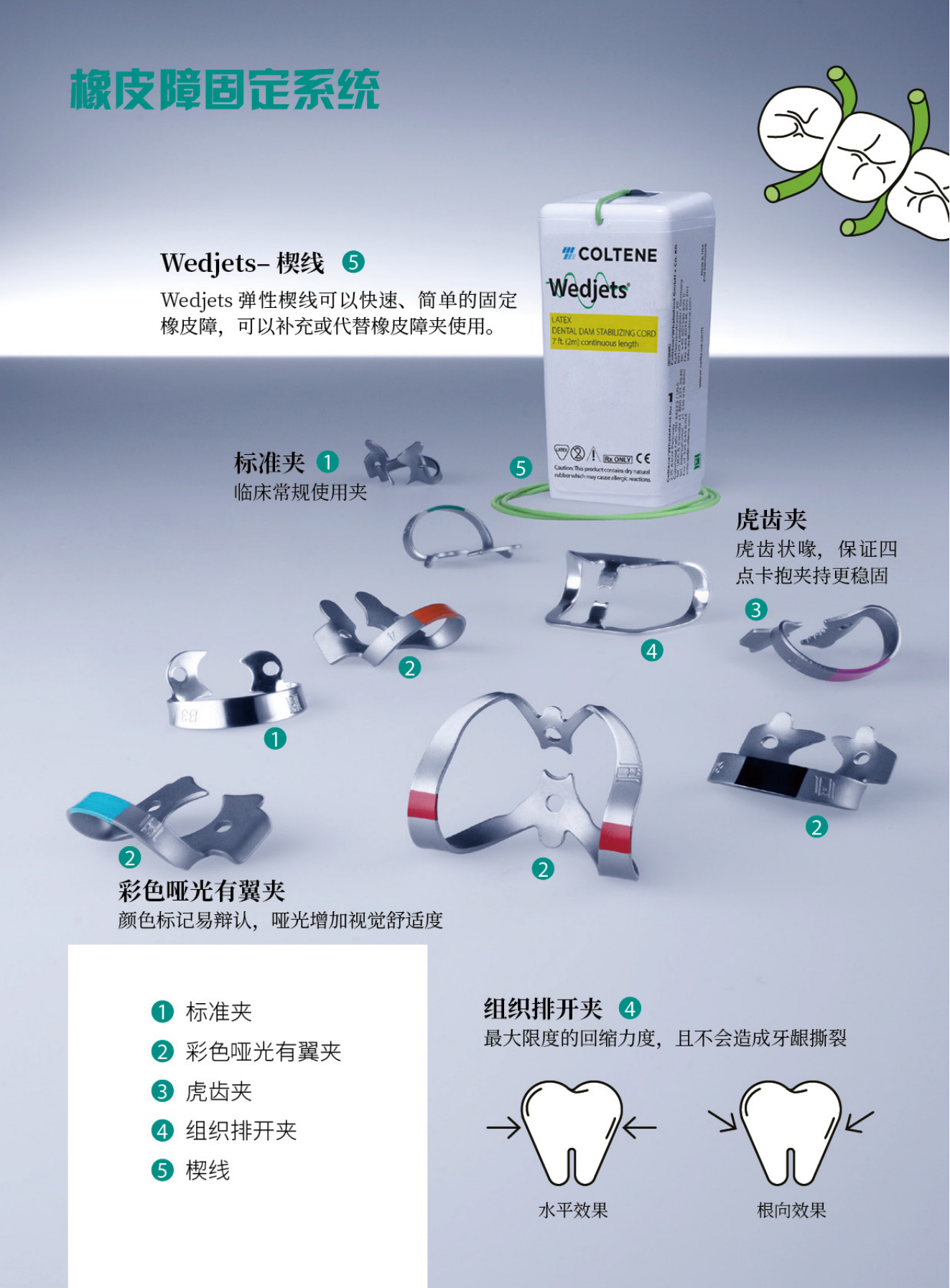 1_橡皮障文宣（新）211026_04.png