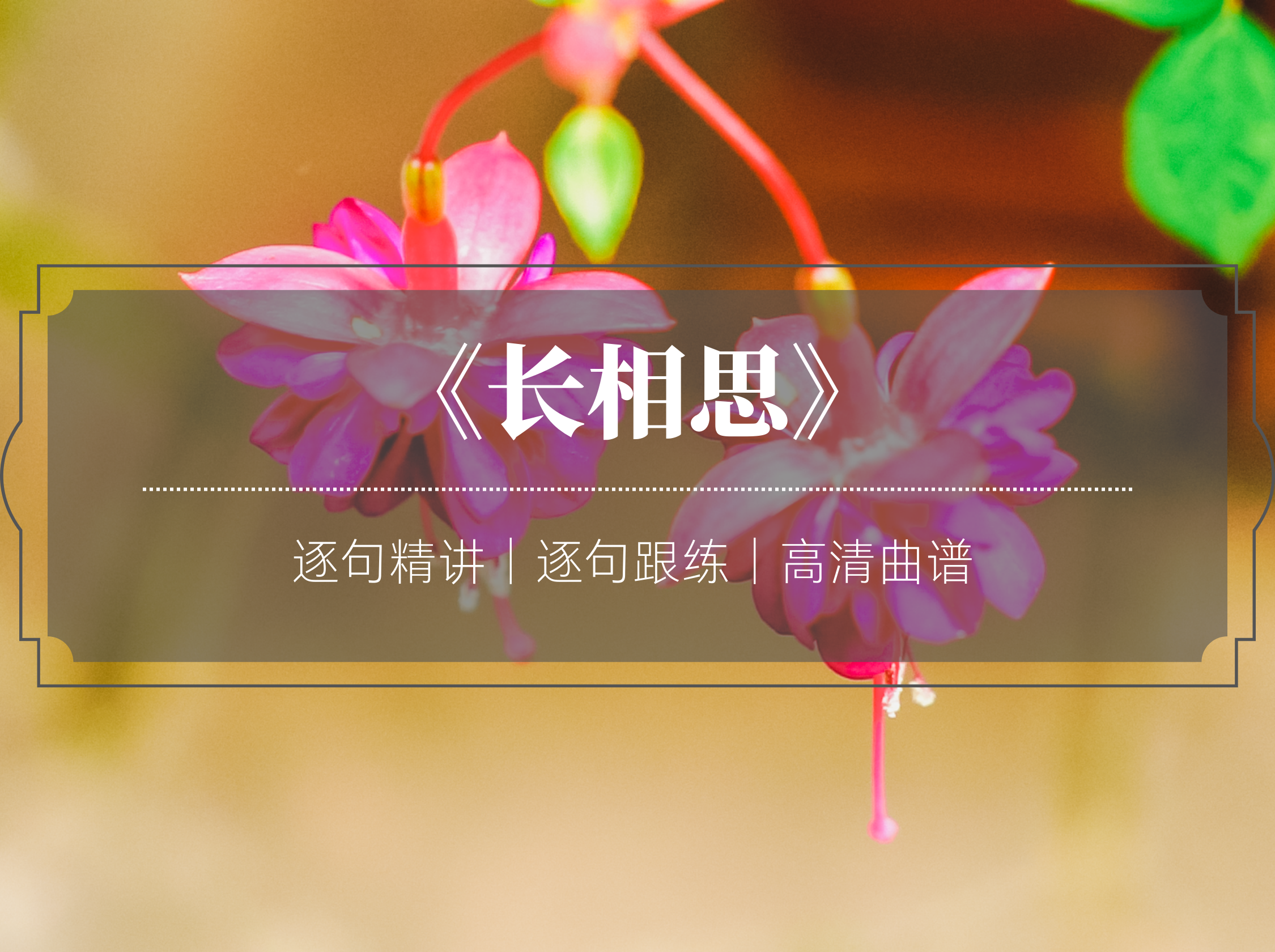 单曲课 |《长相思》逐句精讲+跟练