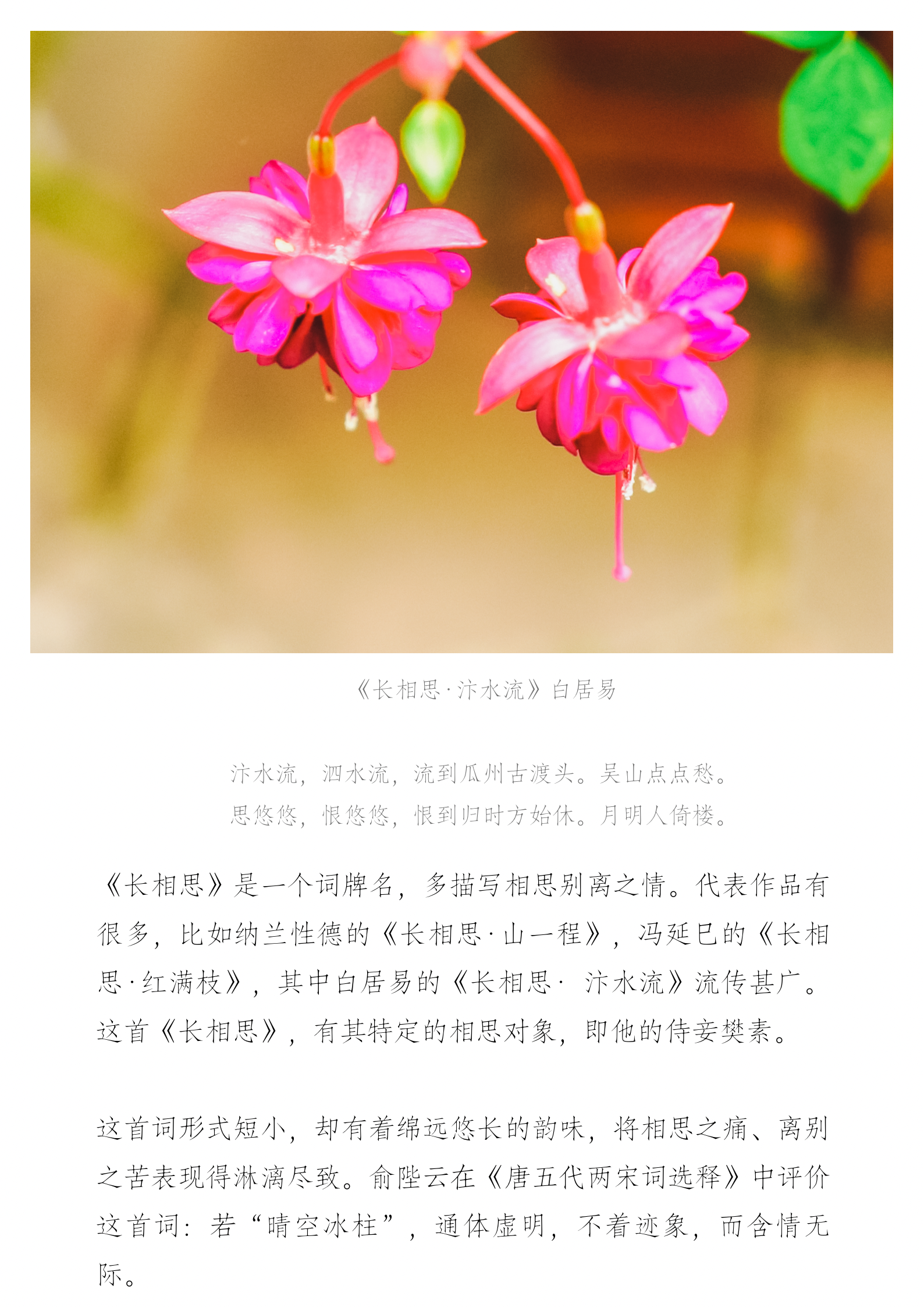 单曲课 |《长相思》逐句精讲+跟练