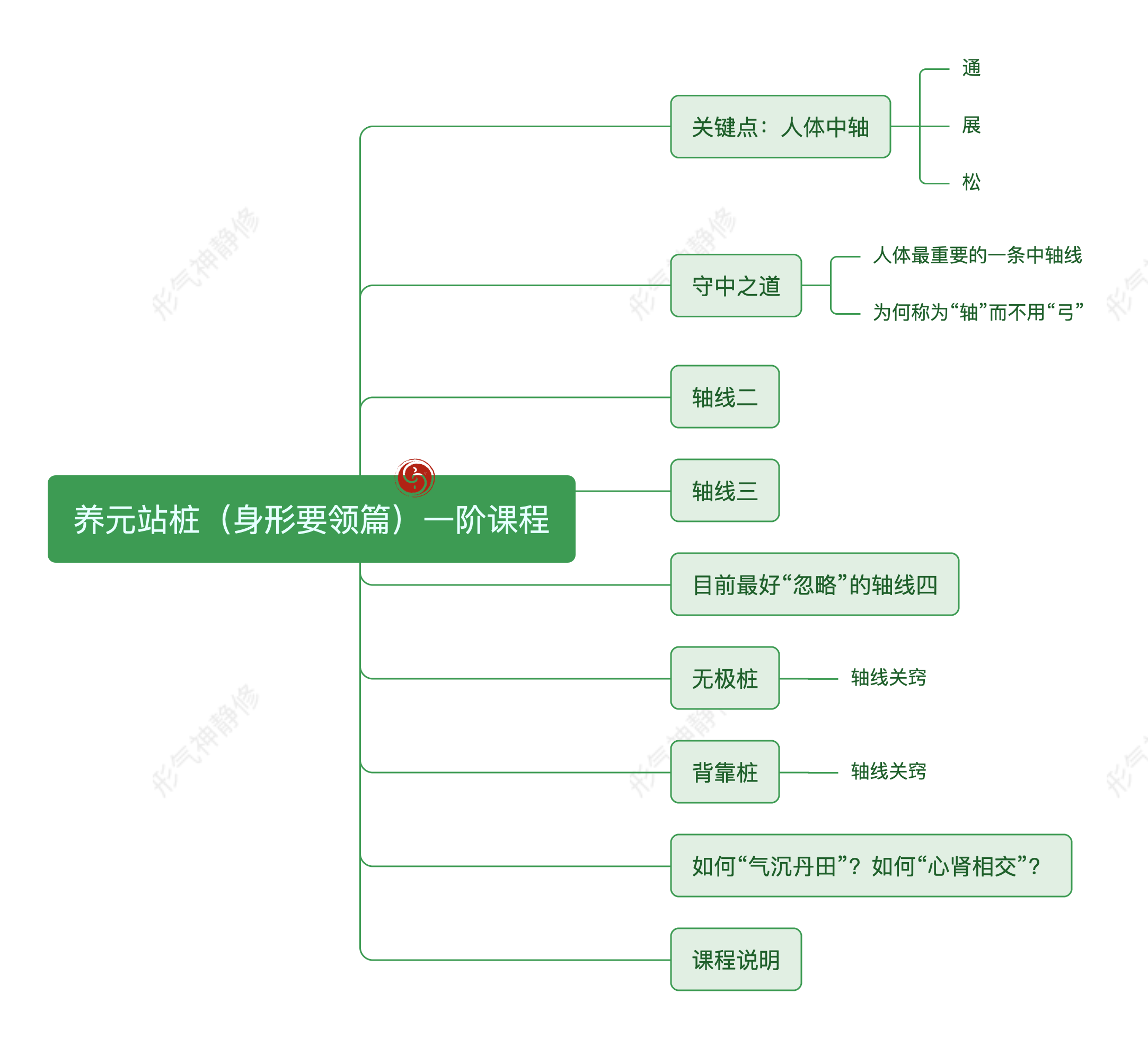 养元站桩·一阶：身形基础篇