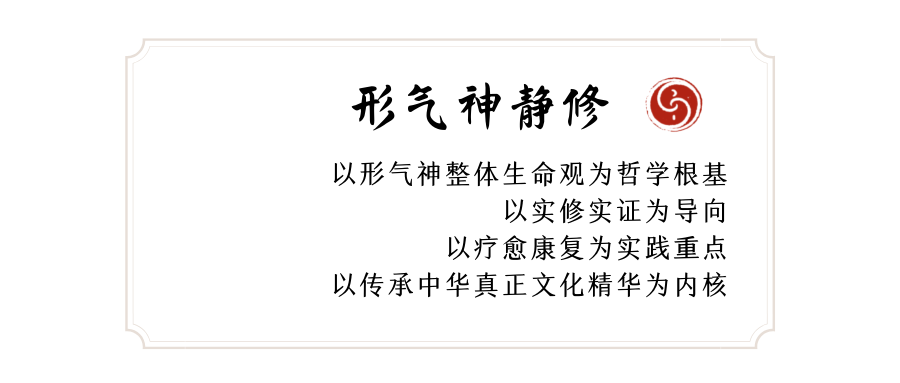 养元站桩·一阶：身形基础篇