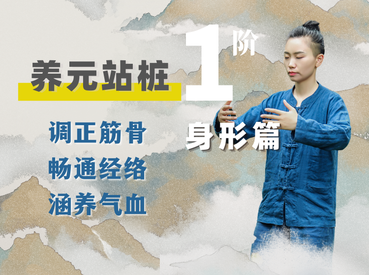 养元站桩·一阶：身形基础篇