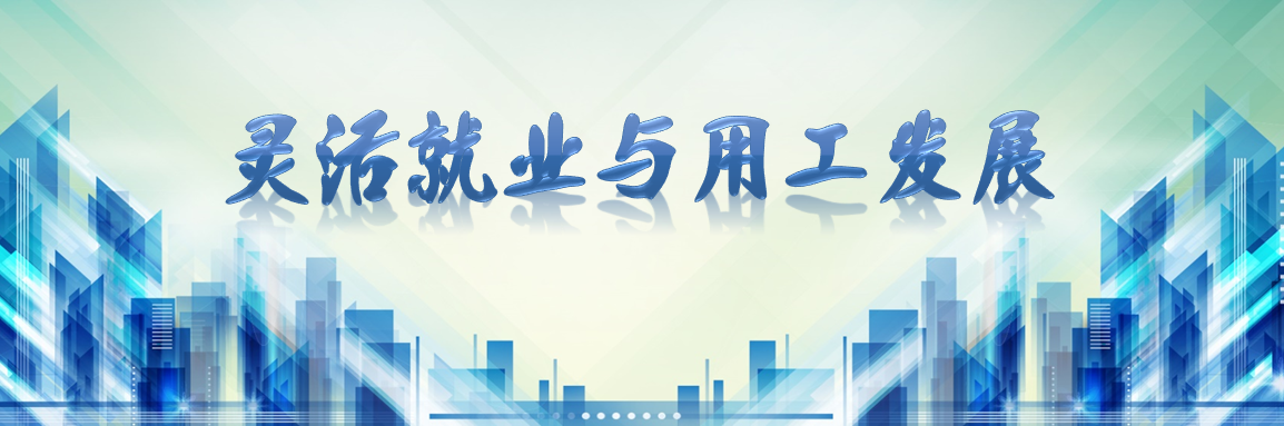 灵活就业与用工发展（费松岩）