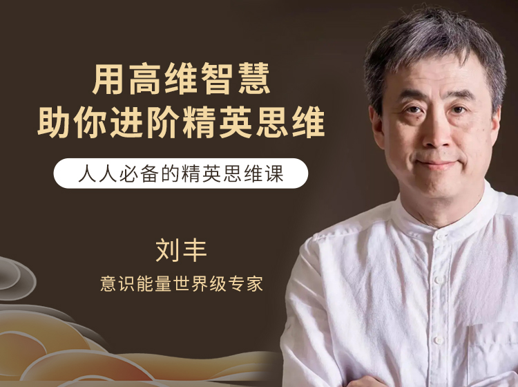 刘丰教授—教你用高维智慧助你进阶精英思维（视频课程，非书籍））