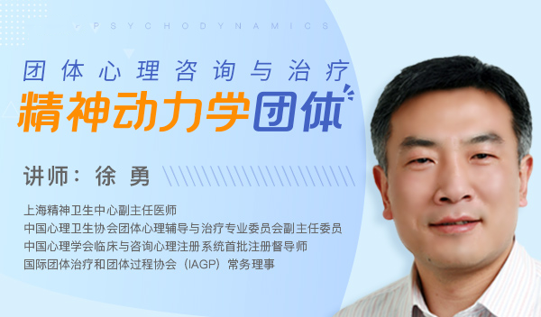 精神动力学团体咨询