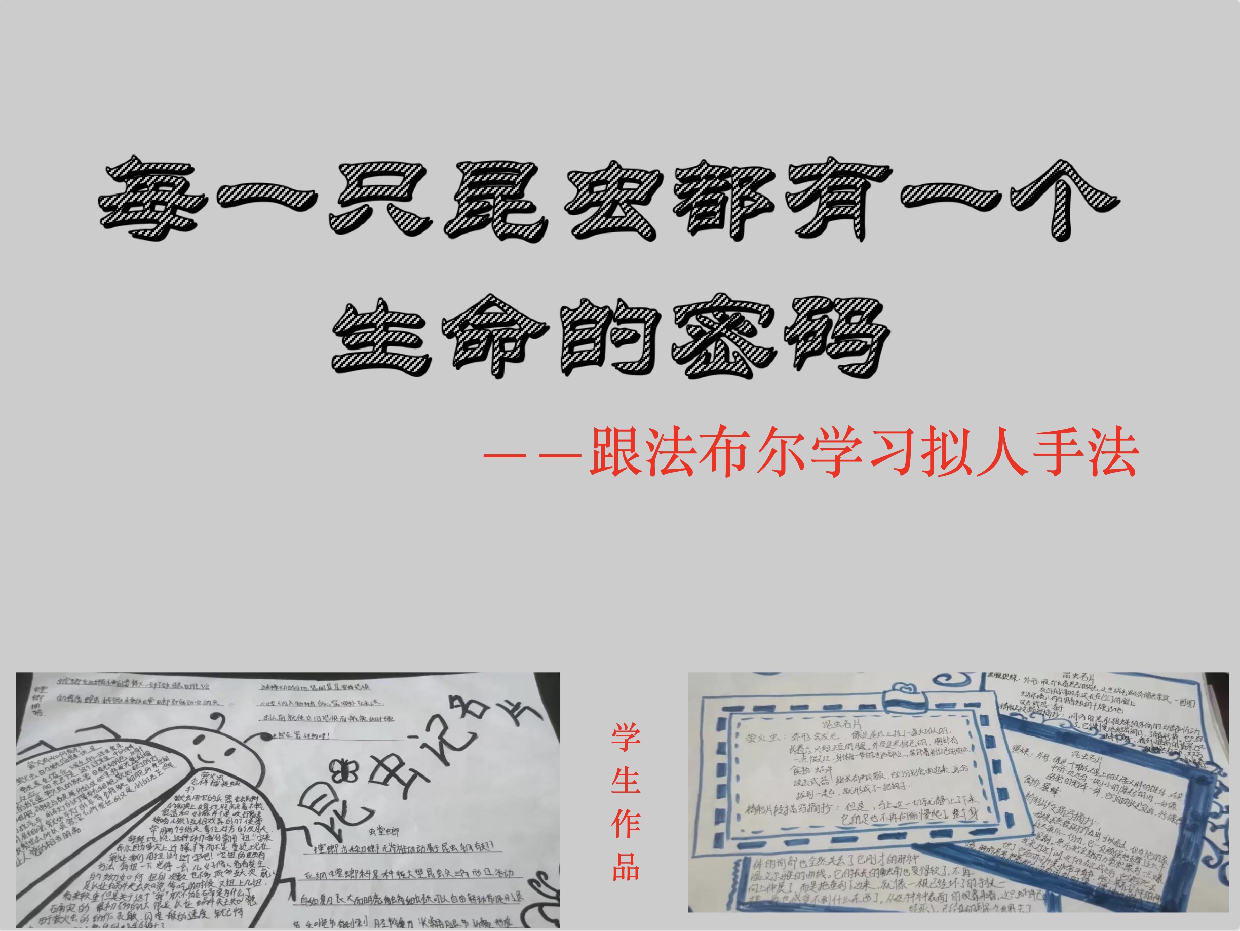 每一只昆虫都有一个生命的密码