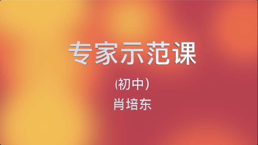 专家示范课（初中）-肖培东-走一步再走一步