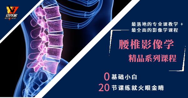 康复师必备技能——腰椎影像学判读技巧