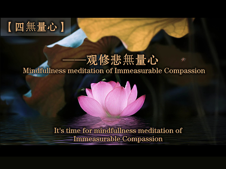 Lotus Wisdom
