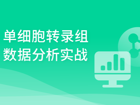 单细胞转录组数据分析实战