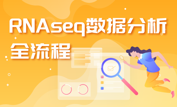RNAseq数据分析全流程