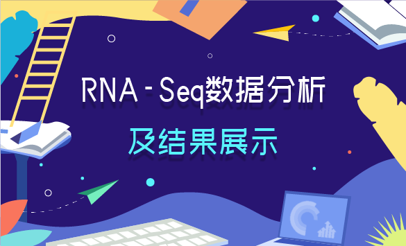 RNA-Seq数据分析及结果展示