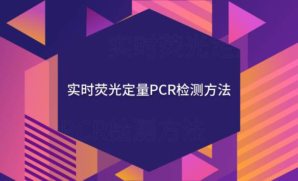实时荧光定量PCR检测方法