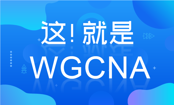 这！就是WGCNA
