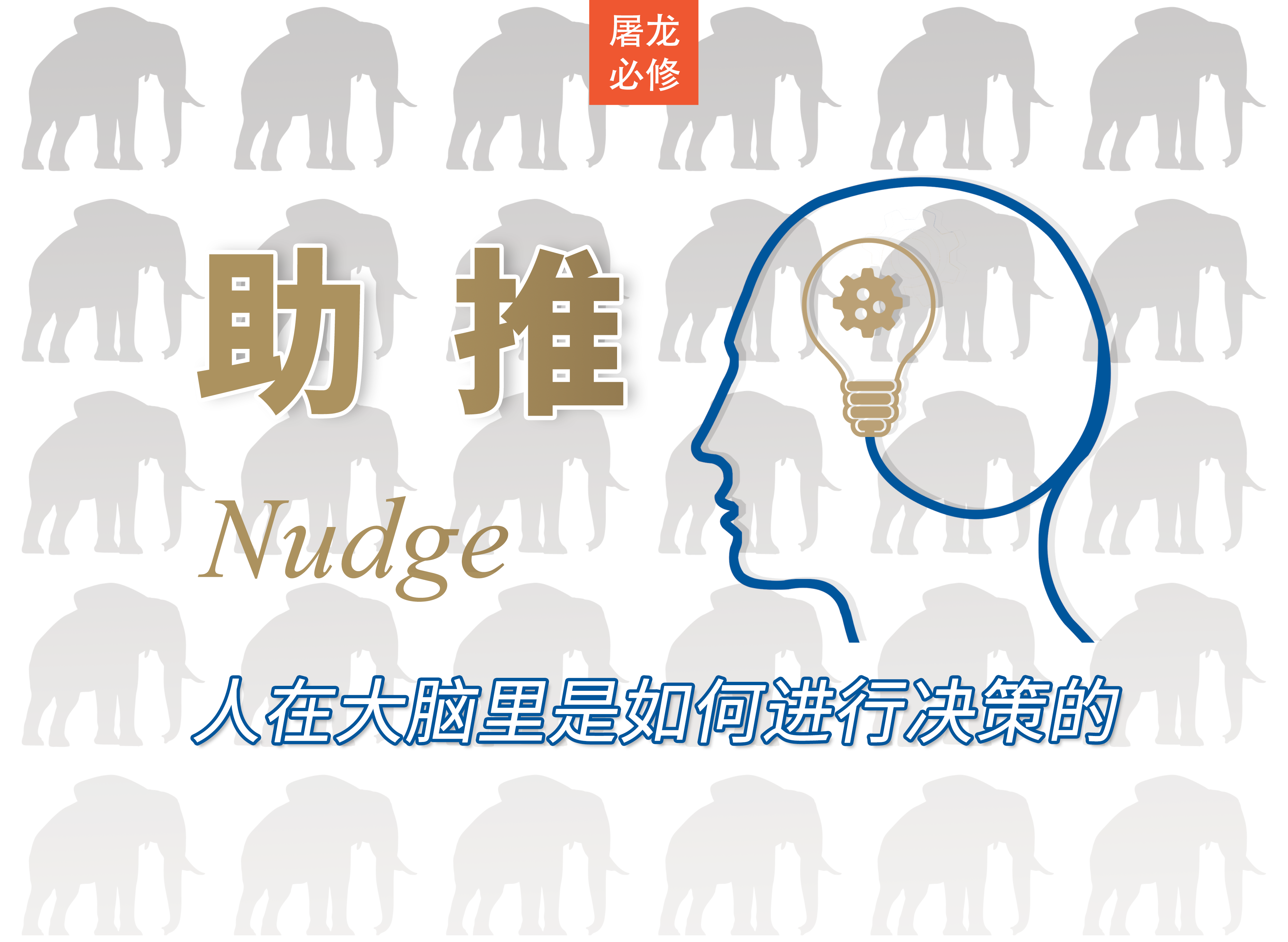 屠龙读后感音频课：《助推》人在大脑里是如何进行决策的
