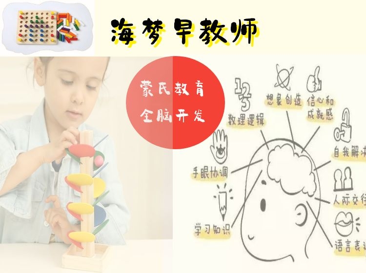 早教师（蒙氏教育+全脑开发）线上视频课