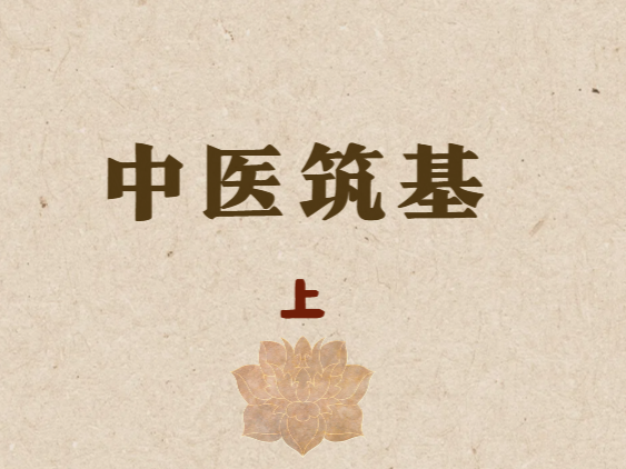 中医筑基（上）