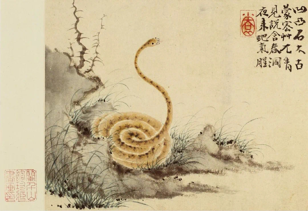 新罗山人专题（第二期）