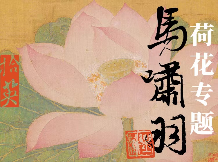 荷花专题（第二期）