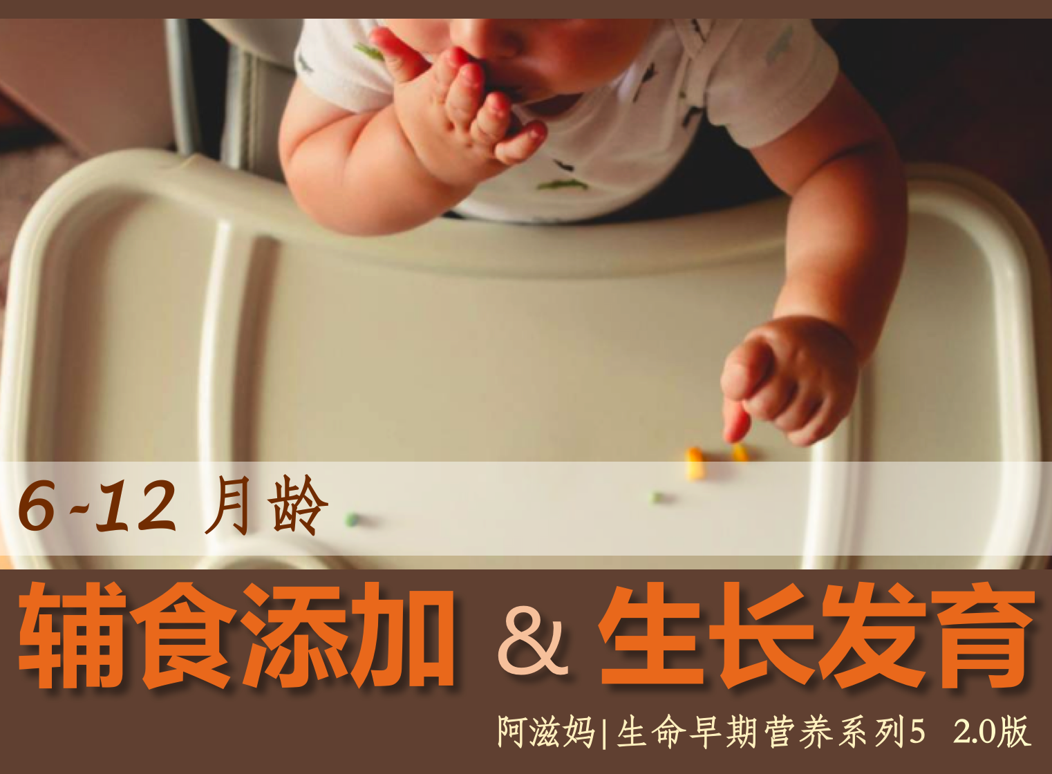 6-12月龄 辅食添加与生长发育2.0