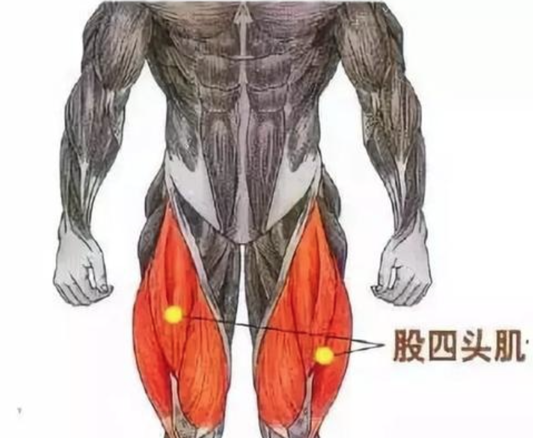 截屏2022-11-05 19.10.19.png 骨盆与姿势7课/费登奎斯®️线上工作坊精选音频课程